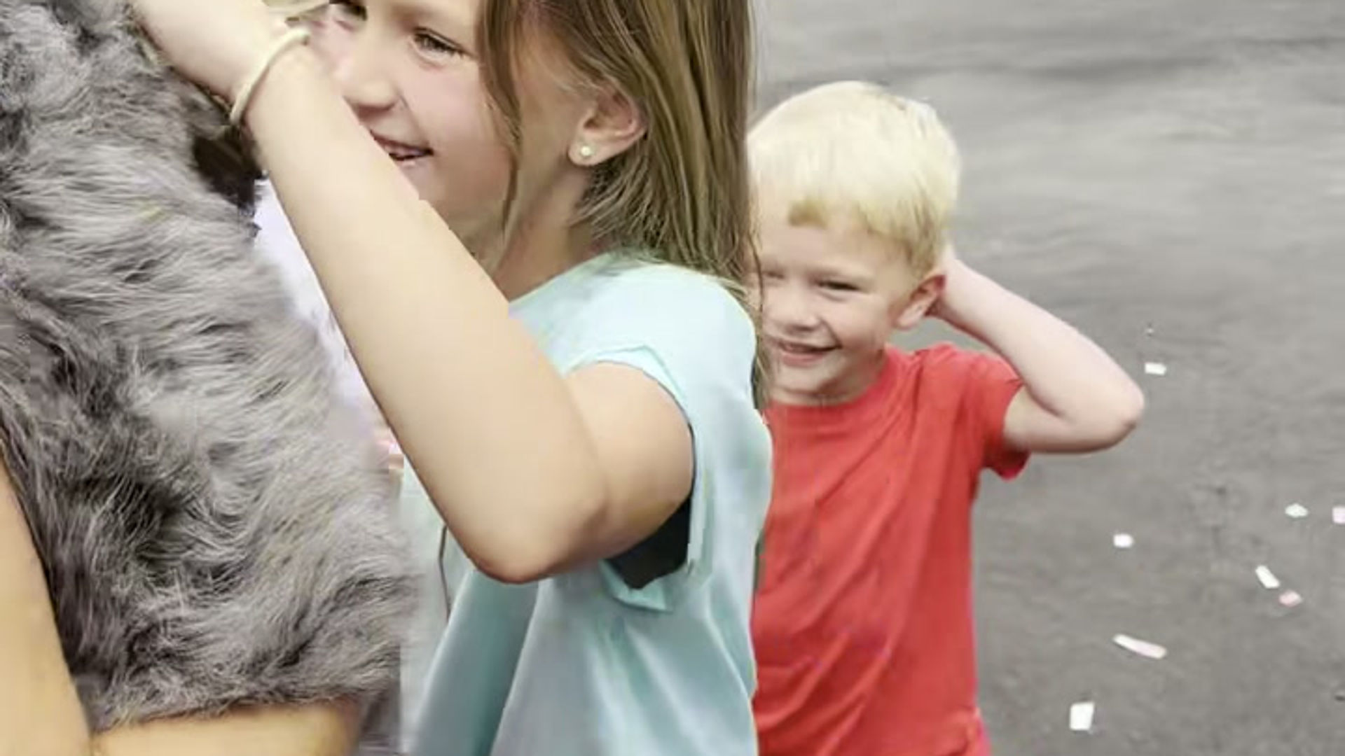 Gentle Giant Videos